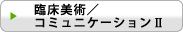 臨床美術/コミュニケーションU