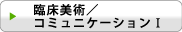 臨床美術/コミュニケーションT